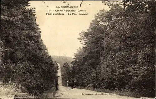 Ak Champsecret Orne, Forêt d'Andaine, Le Pont Brocard