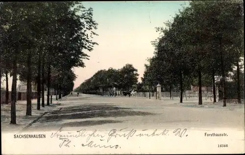 Ak Sachsenhausen Frankfurt am Main, Forsthausstraße