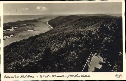 Ak Krynica Morska Kahlberg Ostpreußen, Panorama von Kamel, Haff , Ostsee