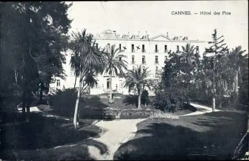 Ak Cannes Alpes Maritimes, Hotel des Pins