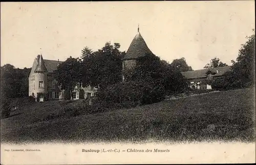 Ak Busloup Loir et Cher, Le Château des Mussets