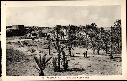 Ak Madanīn Medenine Tunesien, Dans une Palmeraie