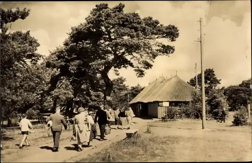 Ak Ludwigsburg Loissin, Konsum Gaststätte