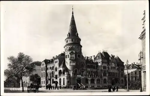 Ak Celje Cilli Slowenien, Celjski dom