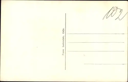 Ak Celje Cilli Slowenien, Celjski dom