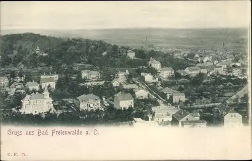 Ak Bad Freienwalde an der Oder, Blick auf den Ort