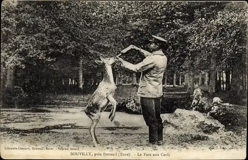 Ak Souvilly Breteuil Eure, Le Parc aux Cerfs, Rehfütterung