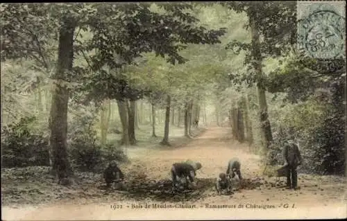 Ak Clamart Hauts de Seine, Ramasseurs de Chataignes