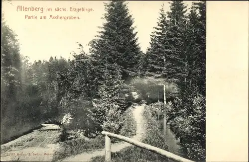 Ak Altenberg im Erzgebirge, Partie am Aschergraben