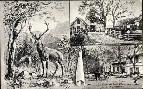 Passepartout Ak Briese Birkenwerder im Kreis Oberhavel, Försterei, Gasthaus, Jagdrevier, Hirsch