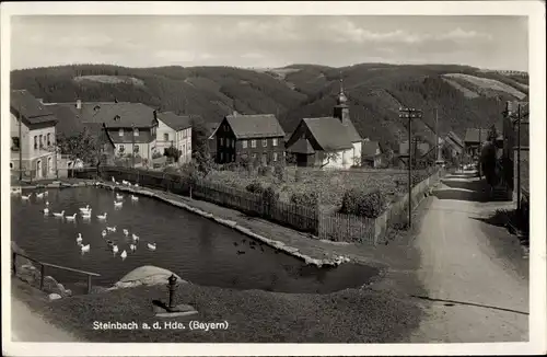 Ak Falkenstein Steinbach an der Haide, Ortspartie, Weiher