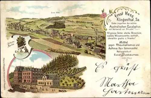 Litho Klingenthal im Vogtland Sachsen, Gesamtansicht, Geschäftsmann Ernst Hess