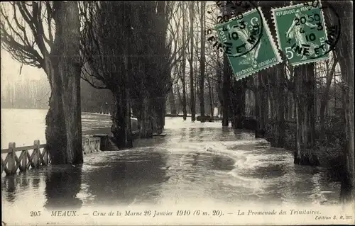 Ak Meaux Seine-et-Marne, La Promenade des Trinitaires, Crue de la Marne