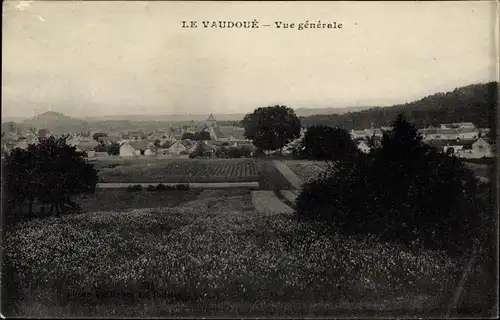 Ak Le Vaudoué Seine-et-Marne, Gesamtansicht