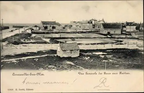 Ak Courseulles sur Mer Calvados, Vue generale des Parcs aux Huitres