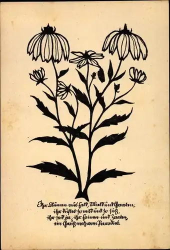 Scherenschnitt Ak Küfner, A., Blumen