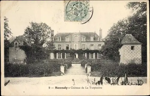 Ak Sennely Loiret, Château de La Turpinière