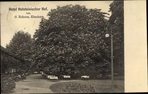 Ak Elmshorn in Schleswig Holstein, Hotel Holsteinischer Hof, Garten