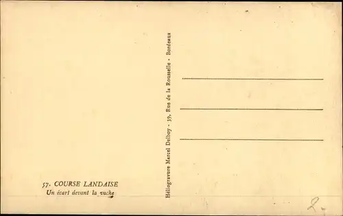 Ak Stierkampf, Course Landaise, un ecart devant la vache