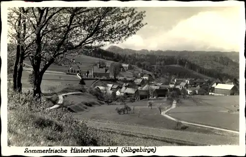 Ak Hinterhermsdorf Sebnitz Sachsen, Ort mit Umgebung