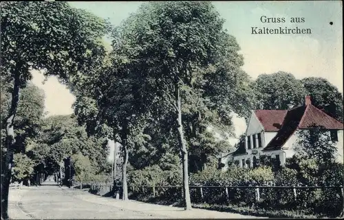 Ak Kaltenkirchen in Holstein, Straßenpartie