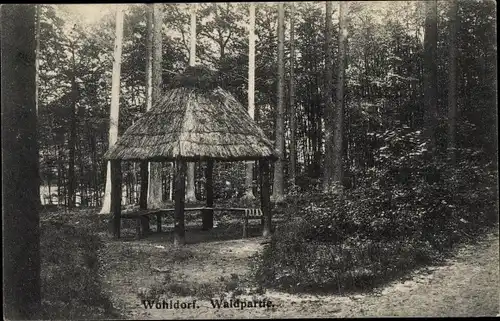 Ak Hamburg Wandsbek Wohldorf, Waldpartie