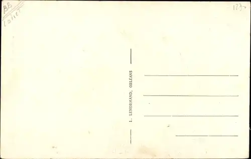 Ak Vitry aux Loges Loiret, Château du Plessis