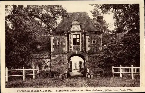 Ak Saint Pierre du Mesnil Eure, L'Entrée du Château de Blanc Buisson