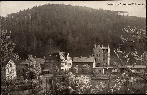 Ak Neumühle an der Elster, Panorama vom Ort