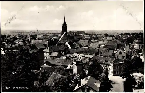 Ak Bad Liebenwerda in Brandenburg, Blick über die Dächer der Stadt