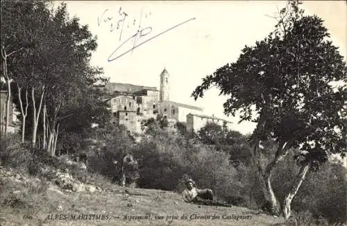 Ak Aspremont Alpes-Maritimes, Vue prise du Chemin des Castagniers