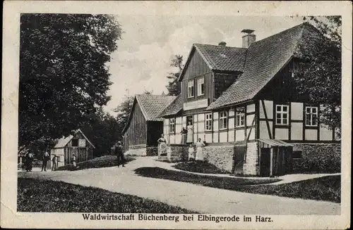 Ak Elbingerode Oberharz am Brocken, Gasthaus Büchenberg