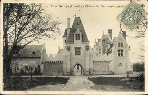 Ak Soings en Sologne Loir et Cher, Château des Pins, entrée principale