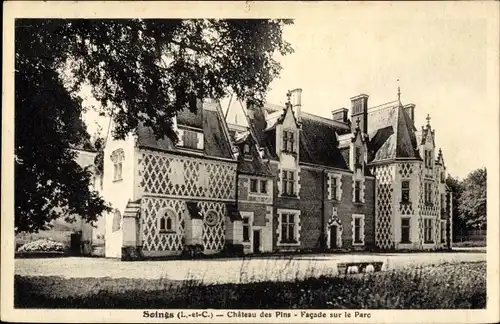 Ak Soings en Sologne Loir et Cher, Château des Pins, Facade sur le Parc