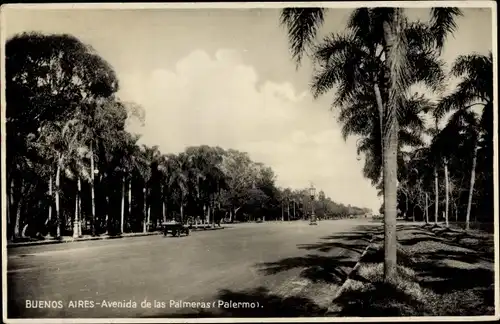 Ak Buenos Aires Argentinien, Avenida de las Palmeras, Palermo