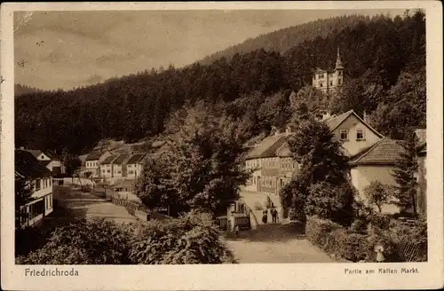 Ak Friedrichroda im Thüringer Wald, Partie am Kalten Markt