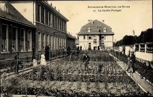 Ak Speyer am Oberrhein Rheinland Pfalz, Infirmerie Hopital, Le Jardin Potager