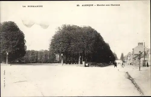 Ak Alencon Orne, Marché aux Chevaux