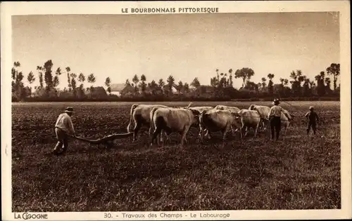 Ak Le Bourbonnais Pittoresque, Travaux des Champs, le Labourage