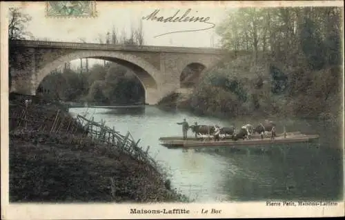 Ak Maisons Laffitte Yvelines, Le Bac, Fähre, RInder