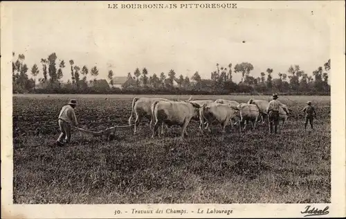 Ak Le Bourbonnais Pittoresque, Travaux des Champs, le Labourage