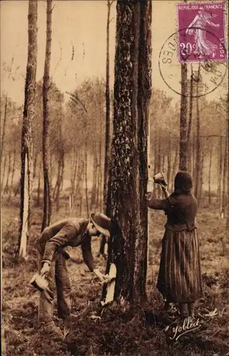 Ak Dans les Landes de Gascogne, Landais au travail