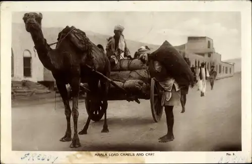 Ak Jemen, Maala load camels and cart, Kamelkarren