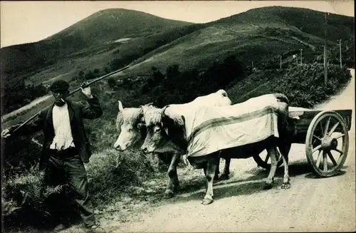 Ak Baskenland, Attelage Basque, Mann in Tracht mit Rinderkarren