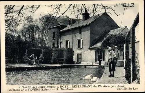 Ak Tavers Loiret, Hoteel Restaurant, Un Coin du Lac, Schwäne