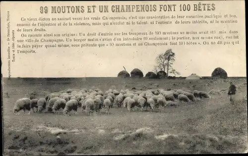 Ak 99 Moutons et un Champenois, Schafherde, Hirt