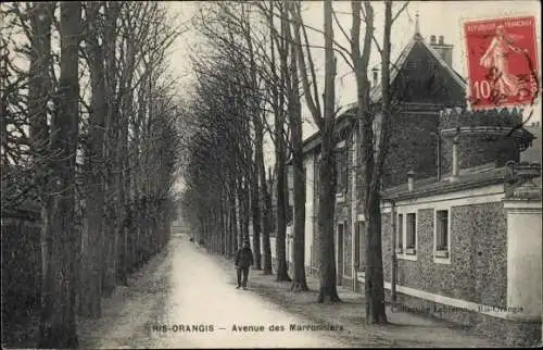 Ak Ris Orangis Essonne, Avenue des Marronniers