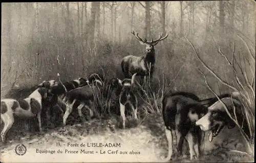 Ak L'Isle Adam Val d’Oise, Equipage du Prince Murat, le Cerf aux bois