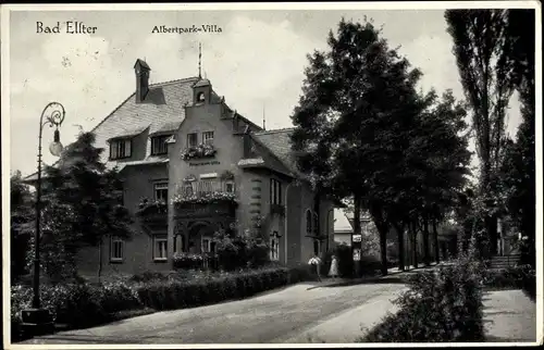 Ak Bad Elster im Vogtland, Albertpark Villa, Außenansicht