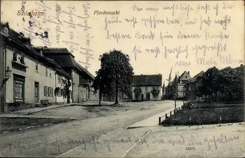 Ak Schlotheim in Thüringen, Pferdemarkt